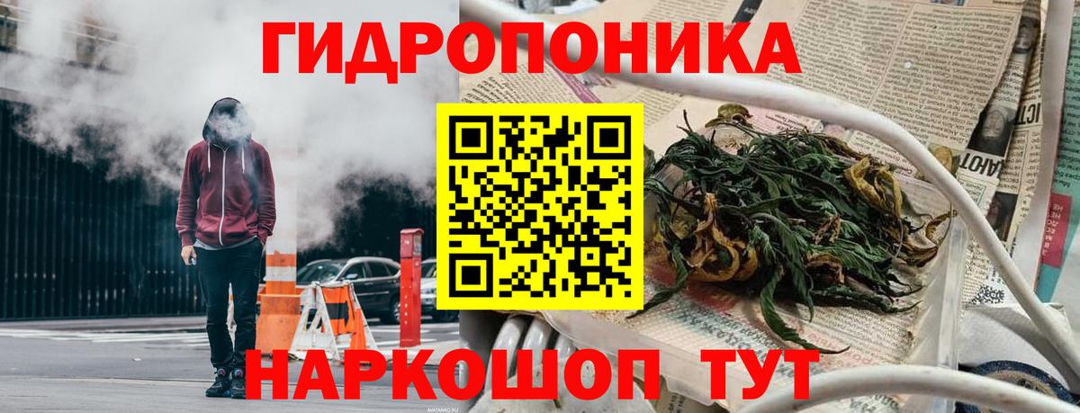 Конопля Bruce Banner Краснознаменск